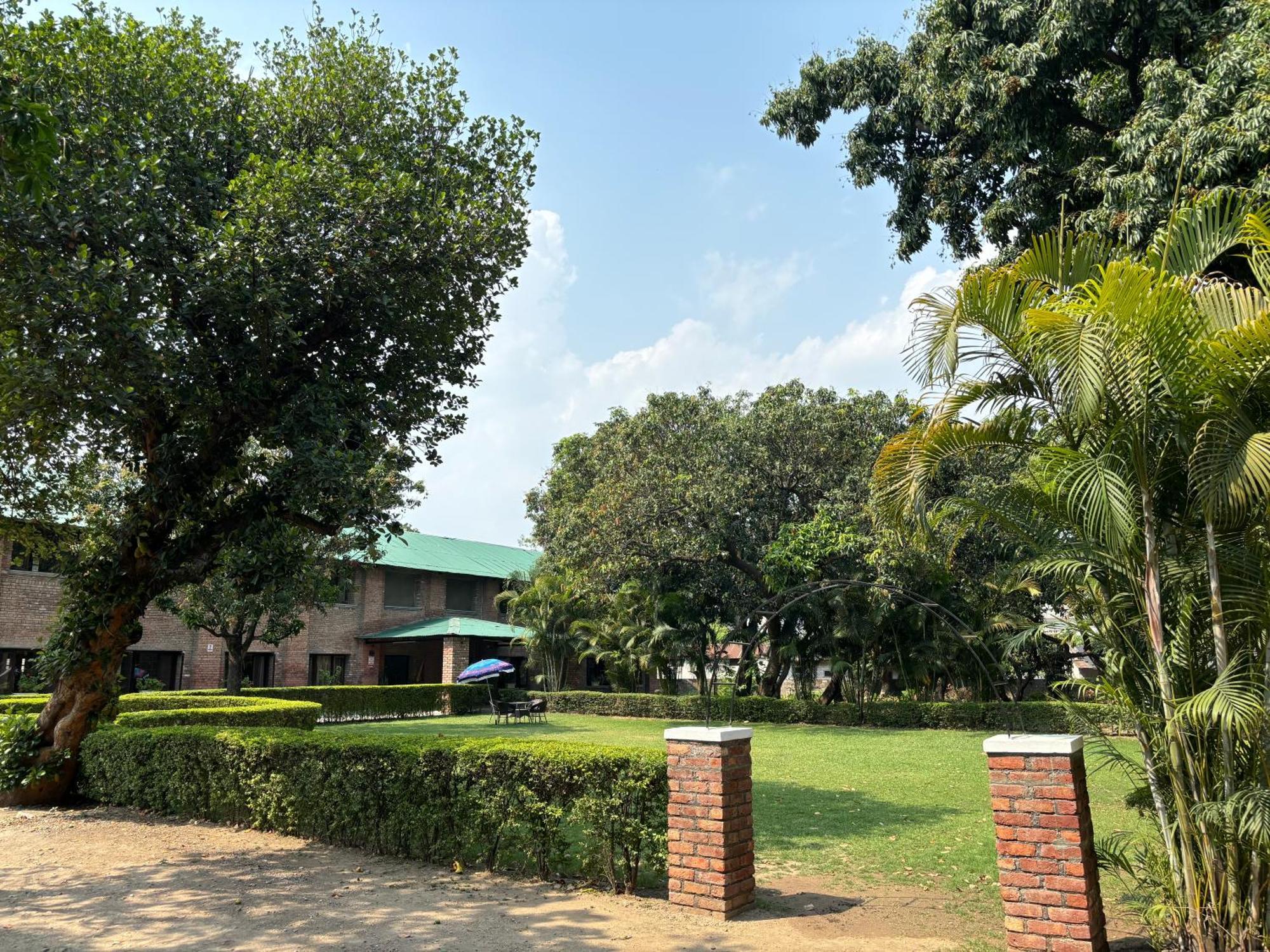 Bed and Breakfast The Cocoon Dehradun Exterior foto